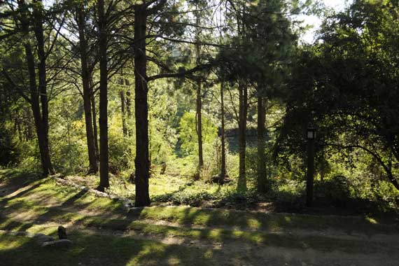 cabañas en villa berna